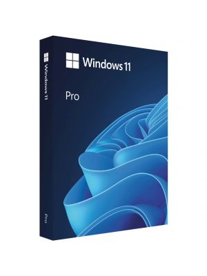 Microsoft Windows 11 Pro USB Drive - HAV-00163 