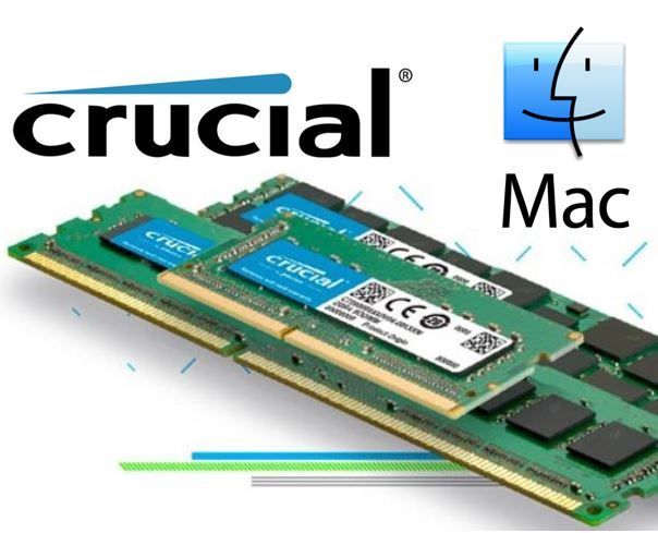 Memoria para Mac de 4 GB Crucial CT4G3S1067M DDR3/DDR3L, 1066 MT/s, PC3-8500, SODIMM, 240-Pin 
